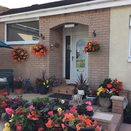 Lowefield B&B Stirling Bagian luar foto