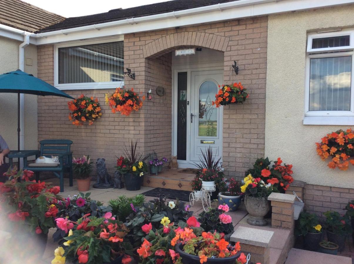 Lowefield B&B Stirling Bagian luar foto